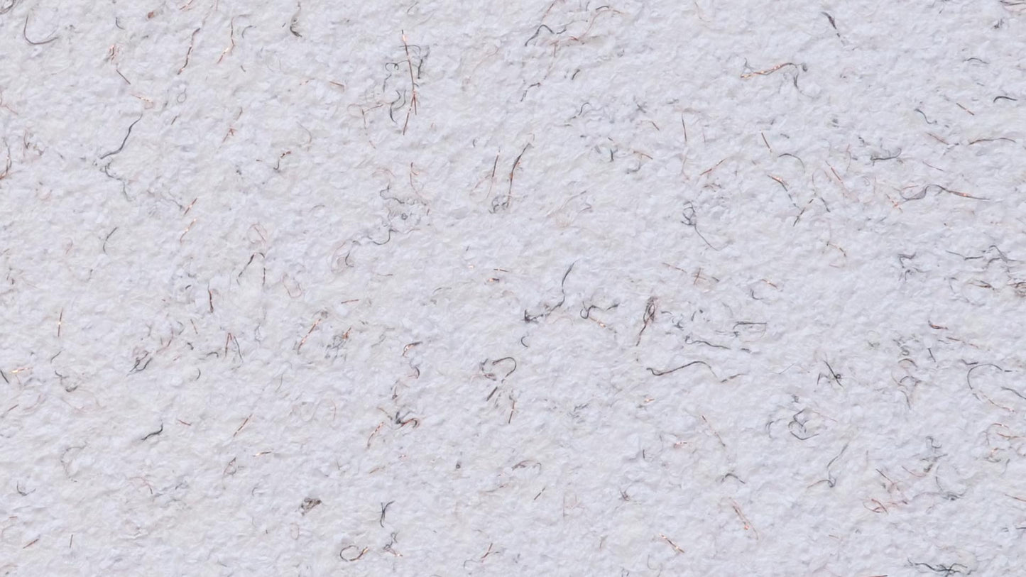 Musterkarte Dekor 22- 8