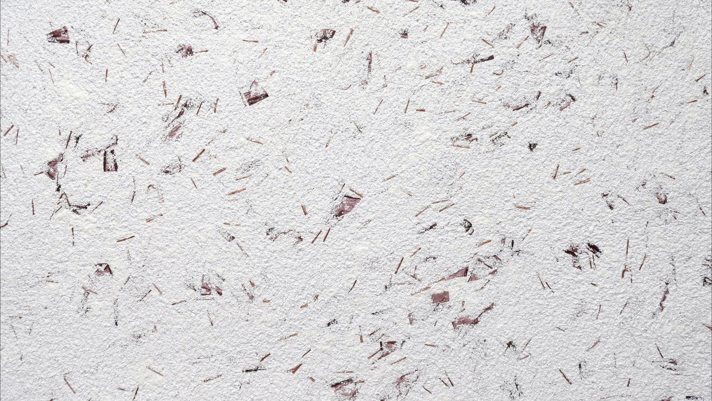 Musterkarte Dekor 9-24