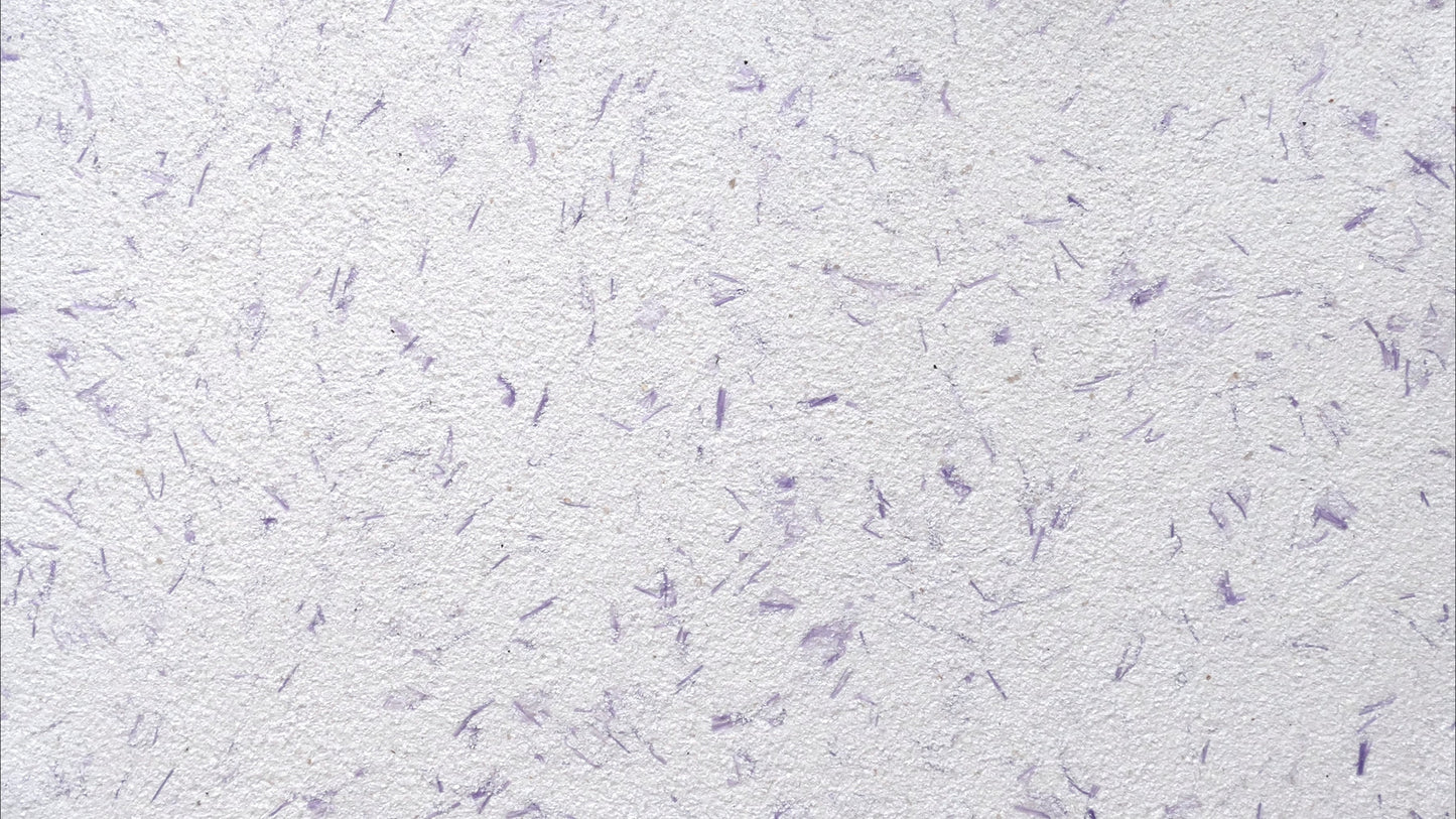 Musterkarte Dekor 9-27